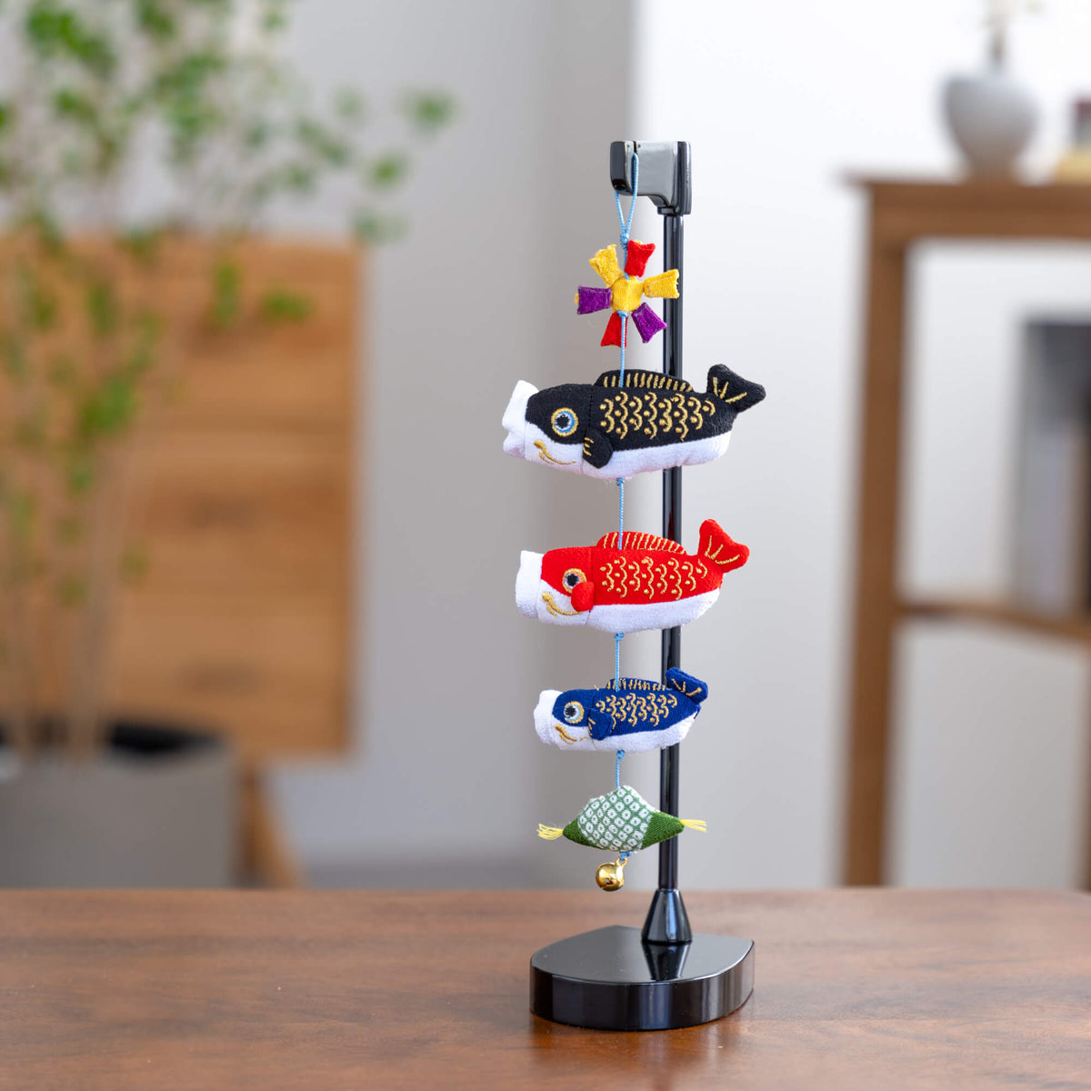 ミニ鯉 葵(黒台)