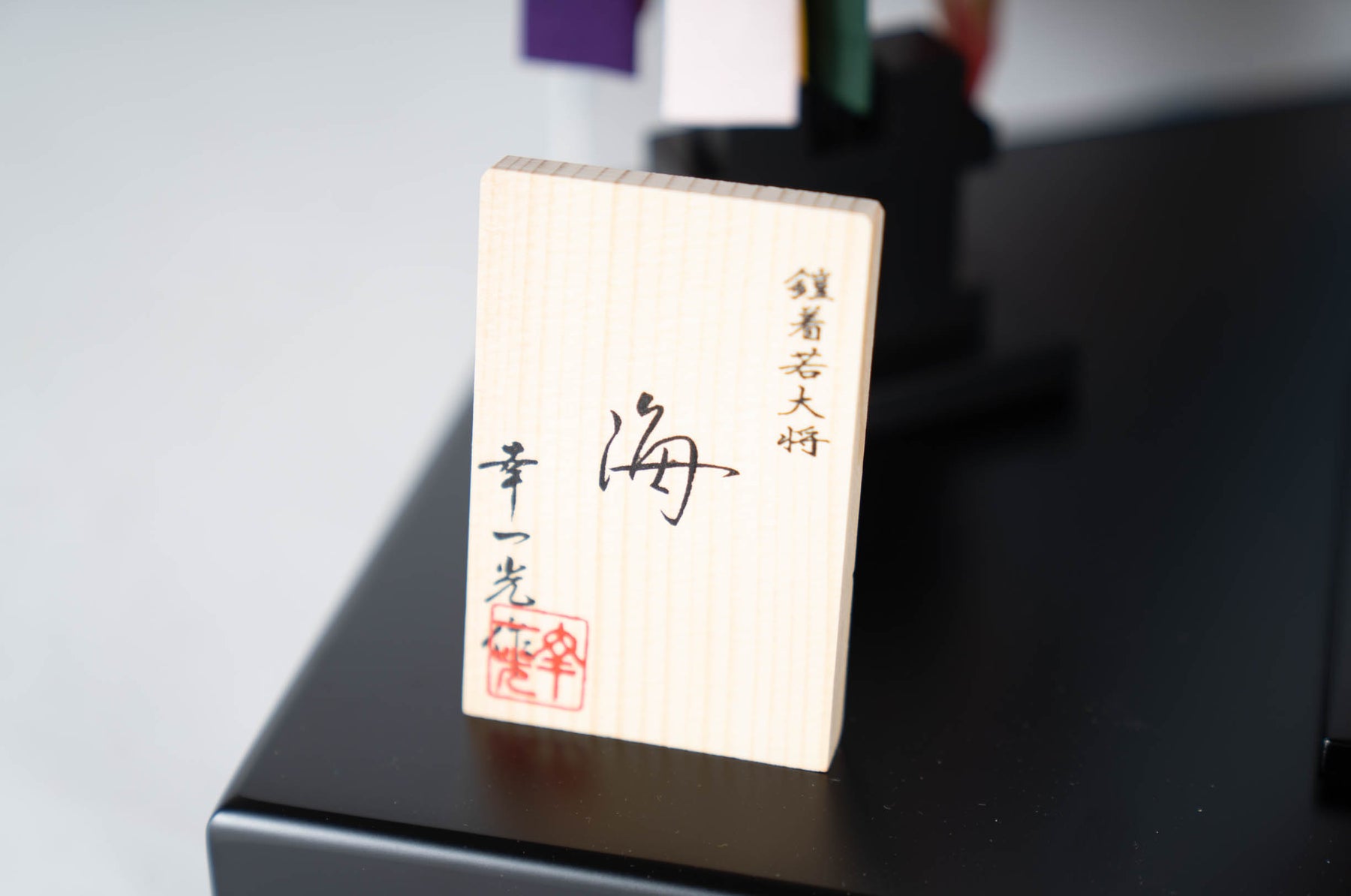 幸一光 子供大将 海