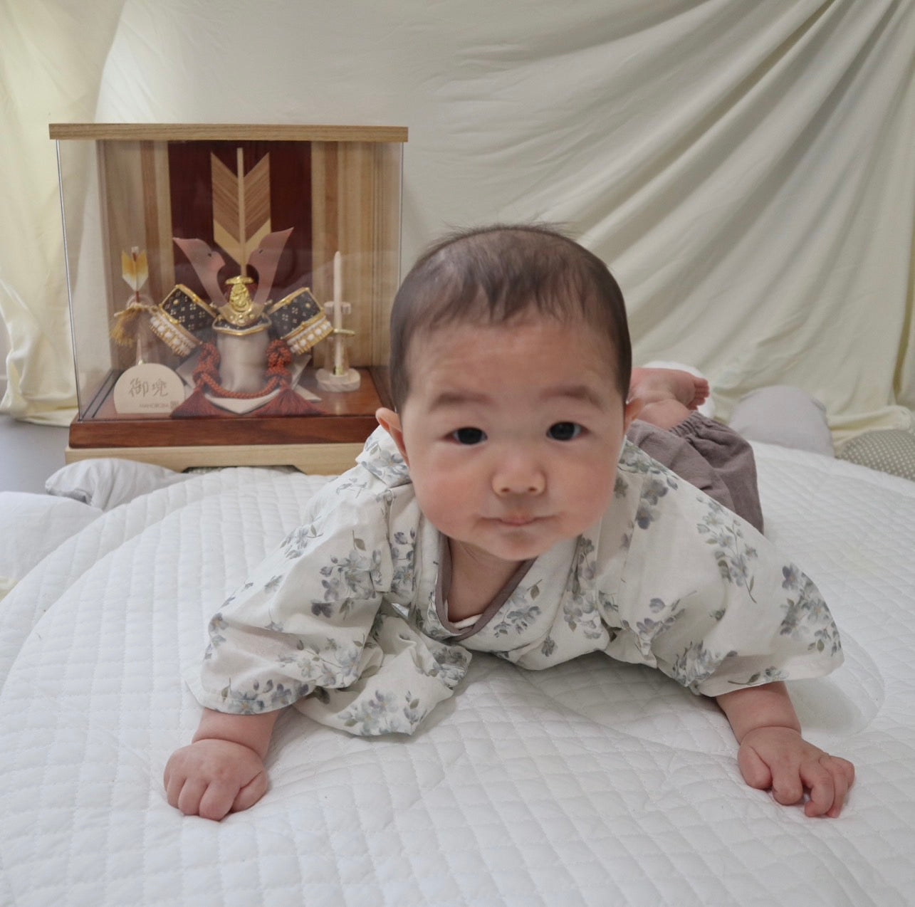 鯉ものがたり(のれん付) 75cm 金太郎付 五月 端午の節句 室内鯉飾り