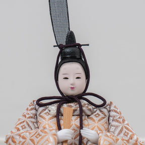 紫苑平飾り ベージュ 柴田家千代 2542H